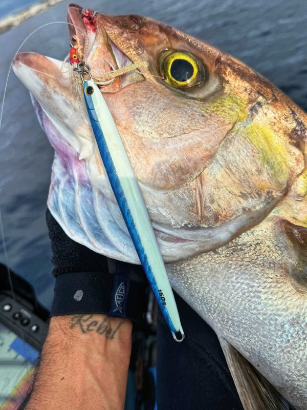 jigs blue crab